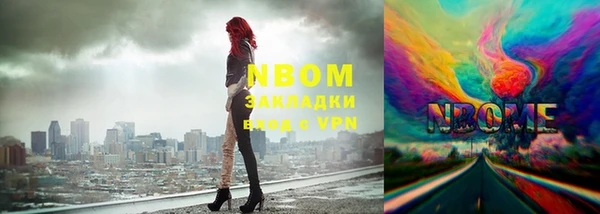 мдпв Богородск
