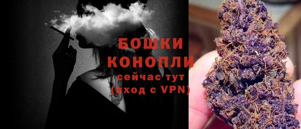 мдпв Богданович