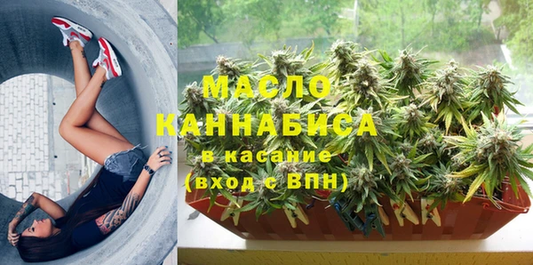 мдпв Богородск