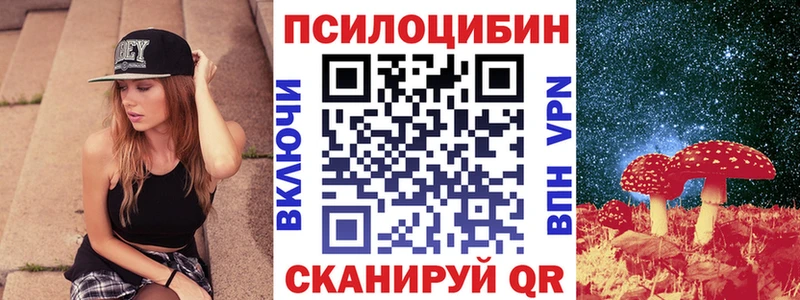гидра вход Вилюйск Галлюциногенные грибы Psilocybe